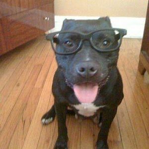 Meet your Posher, Debra